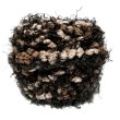 画像1: Fancy yarn (茶) 100g (1)