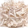 画像1: beige Big Ribbon＋shaggy(2) (1)