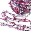 画像2: wild berry (2)
